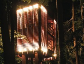 up and down lighting of slats in treehouse